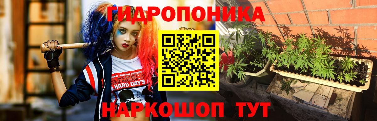 Шишки марихуана планчик Усолье-Сибирское